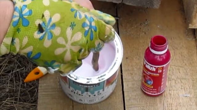 НОВАЯ ЖИЗНЬ СТАРЫМ ВЕЩАМ! ПЕРЕДЕЛЫВАЮ СТАРЫЙ ВЕЛОСИПЕД В ЦВЕТОЧНУЮ КЛУМБУ! DIY. смотреть онлайн