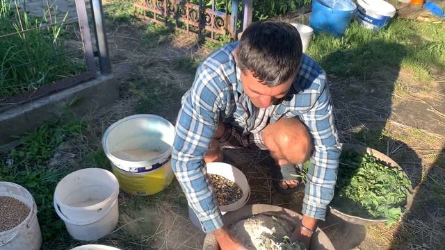 Утка гусь . Секрет кормления утки Мулард и серых больших гусей и гусь Линда смотреть онлайн