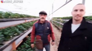 Михаил Острохишко официально прекратил сравнение и перешёл на систему Супер-Агро