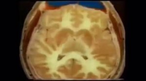 Реальность как проекция ума.Буддизм и квантовая физика.