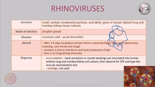 Viral respiratory tract infection , Micro L4 смотреть онлайн