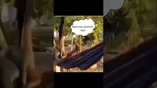 Как подать жалобу в суд в последний день смотреть онлайн