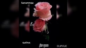 ПУСТЬ РАСПУСКАЮТСЯ ЦВЕТЫ.