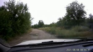 Причины слабости,гибели пчелосемей зимой.Подготовить пчёл в зиму.