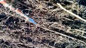 Стабильность работы Квазар АРМ 2.2.14