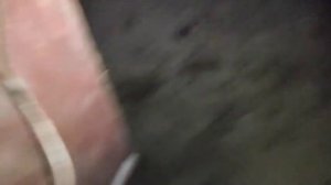16-летний подросток заснял свинтуса перед смертью.mp4
