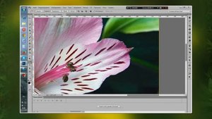 Урок по ФШ CS6. Инструменты выделения "Волшебный ластик" и "Перо".