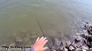 Дроп-шот в бесклёвье (Рыбалка в Германии)