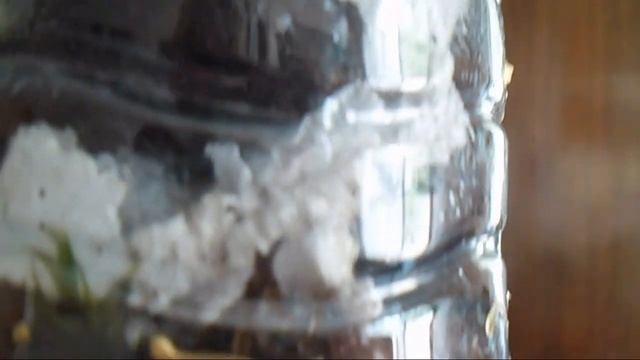 Пенопласт, керамзит или кора -что выбрать? смотреть онлайн