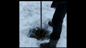 Как промерз грунт в Ленобласти этой зимой