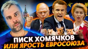 ВСЕЛЕНСКАЯ ЯРОСТЬ ЕВРОСОЮЗА | ЧЕРНО-БЕЛЫЙ КОНЦЕПТ СМЕНИЛСЯ