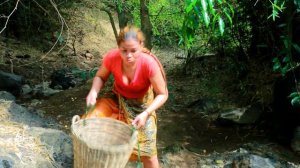 Smart woman - pick Fruit Found fish3 in water - Fried fish with chili For dog - Eating delicious