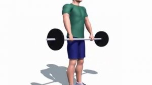 Правильное выполнение - Наклоны со штангой на прямых ногах