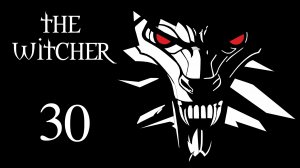 The Witcher / Ведьмак - Сплетница - Прохождение игры на русском [#30] | PC (2016 г.)