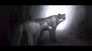 CRASH MEME // FOR 12 K SUBSCRIBERS