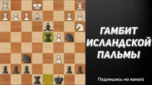 Гамбит Исландской пальмы! 🌴 | Основные варианты и ловушки!