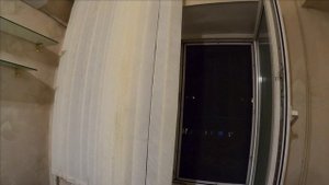 Рыжик в доме хозяин.mp4