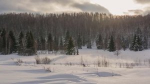 Тихо падал пушистый снег. Закон тайги - Вячеслав Макаринцев