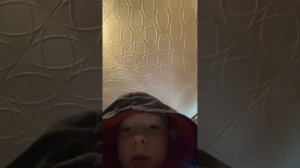 Aegis hero из лего