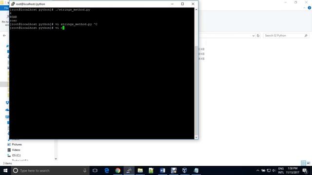 DevOps (Day 8): Python (Day 4): String Methods, Type Conversion, String Concatenation