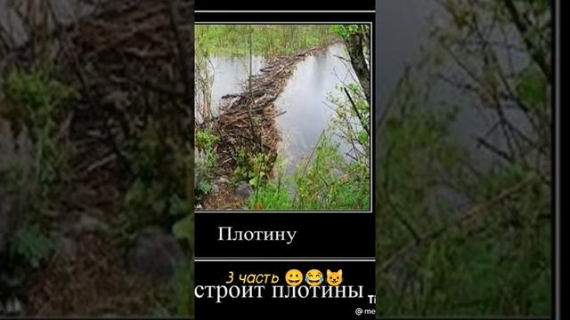 Разоблачение имени Матвей 3 часть????????