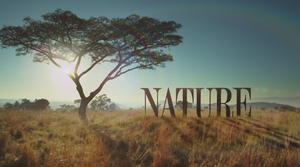 Природа - 40 сезон 8 серия / Nature (озвучка Jaskier)