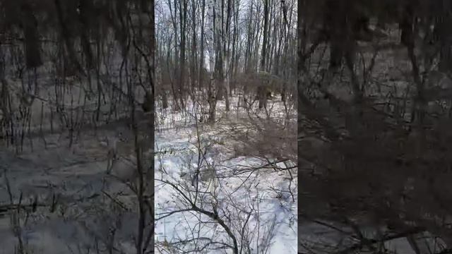 ROAD CUTTING PHASE 1 смотреть онлайн