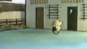 Шан Ги (боевое искусство) - Страховочный комплекс