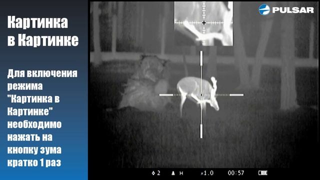 Apex Pulsar Картинка в Картинке, Плавный зум смотреть онлайн