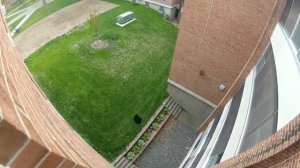 Новый год. История Нового года для детей. С Новым 2022 годом