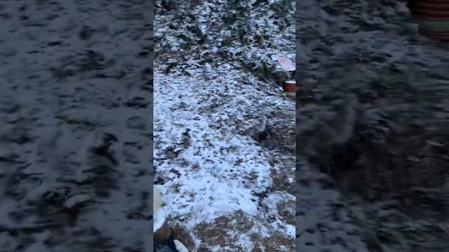 Солнце, воздух и вода наши лучшие друзья смотреть онлайн