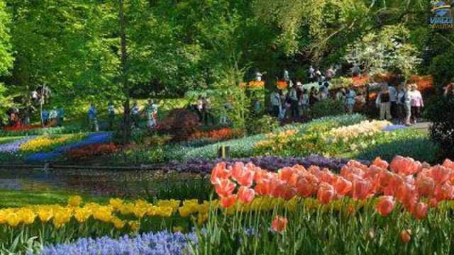 Fioriture di primavera: le più belle e spettacolari d’Europa смотреть онлайн