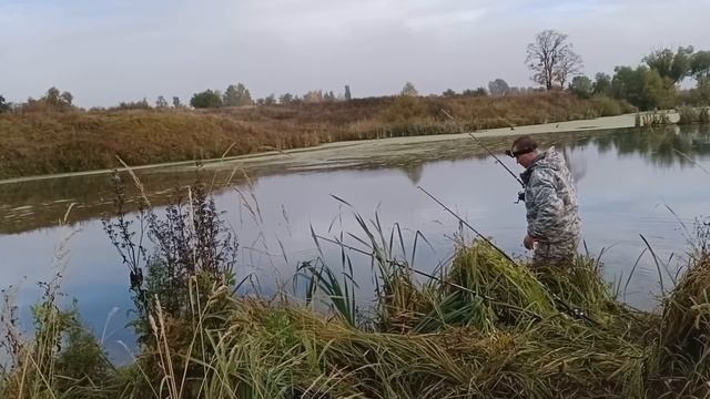 ЛОВЛЯ ЩУКИ НА ЖИВЦА. РЫБАЛКА НА ЩУКУ ПОПЛАВОЧНОЙ СНАСТЬЮ.