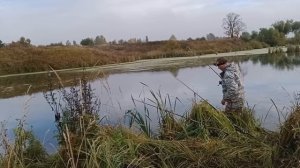 ЛОВЛЯ ЩУКИ НА ЖИВЦА. РЫБАЛКА НА ЩУКУ ПОПЛАВОЧНОЙ СНАСТЬЮ.