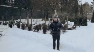 Виды обрезки. Когда делать обрезку деревьев?