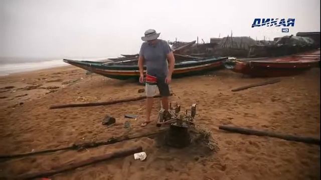 Дикая рыбалка HD