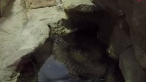 Московский зоопарк зимой Прогулка с детьми
