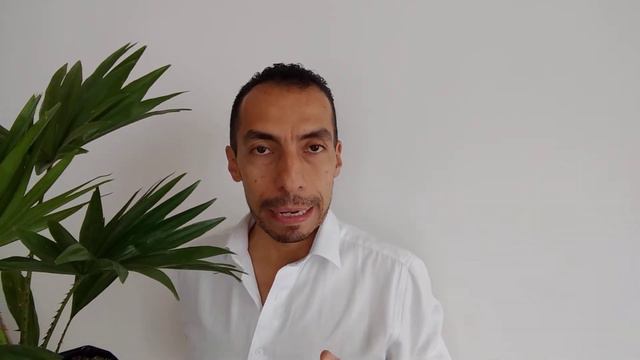 Palma Levistonia. Generalidades y datos curiosos смотреть онлайн