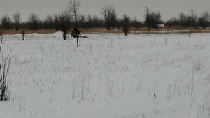 Сноубайк из спортбайка 6ч. первый выезд в поле.