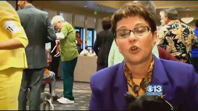 Air Canada loses woman's dog, sends email suggesting it's no big deal смотреть онлайн