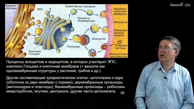 Наука и Сон: Общая биология. Строение клетки (2 часть) смотреть онлайн