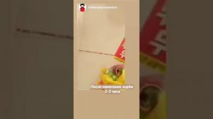 Как убрать плесень в ванной комнате? наш вариант решения - Средство от плесени из Южной Кореи.