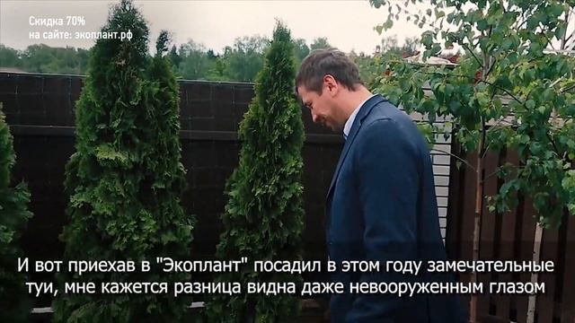 ЖИВАЯ ИЗГОРОДЬ из ТУЙ ??? ПОСАДКА и ОБРЕЗКА живой изгороди