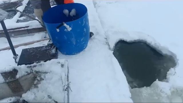 Утренний Запуск Форели на Основной Участок