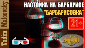 3D stereo red-cyan Настойка из барбариса или Барбарисовка. Мальковский Вадим