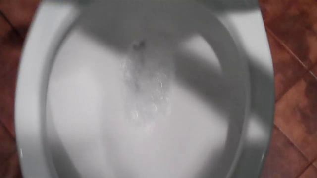 2070: 2006 Gerber Ultra Flush Toilet 4 смотреть онлайн