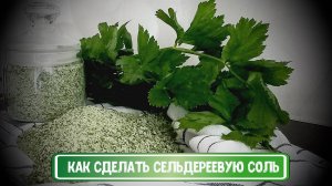 КАК СДЕЛАТЬ СЕЛЬДЕРЕЕВУЮ СОЛЬ