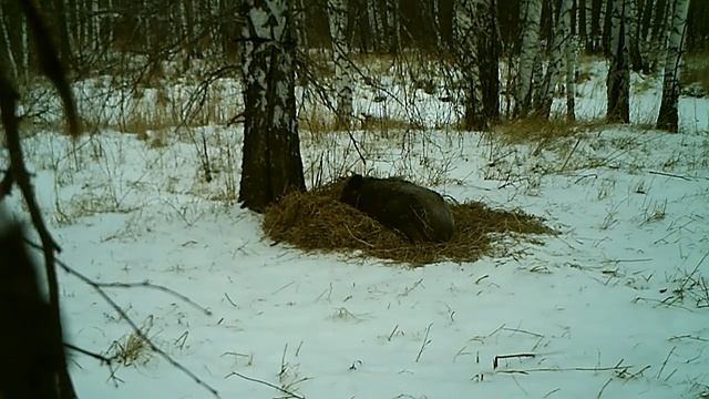 Что тебе снится... смотреть онлайн