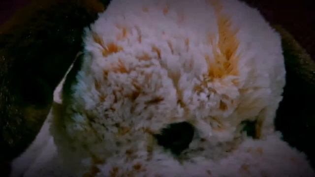 Съемка на телефон. Как создать эффект кинорельс в вашем видео из подручных средств. смотреть онлайн