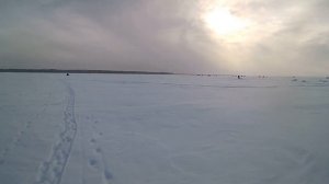 Такой рыбалки ни кто не ожидал. Рыбалка в Омской Области. Озеро Тенис. Крутинский Район.